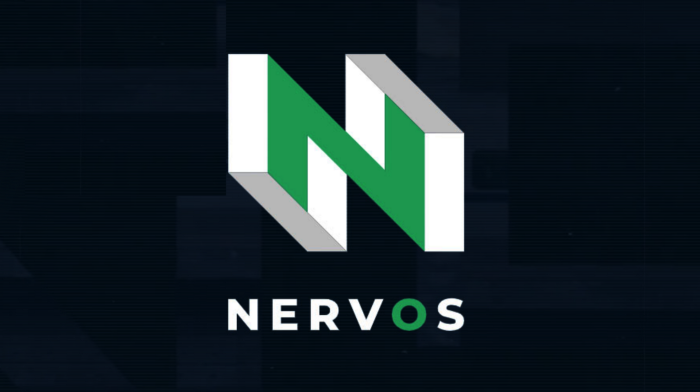 Q&A Session with #NervosHack winners
