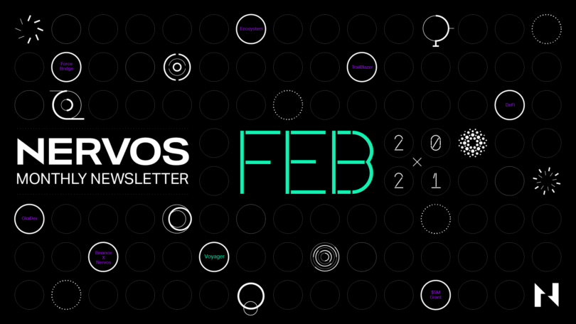 Nervos Community Update: February 2021
